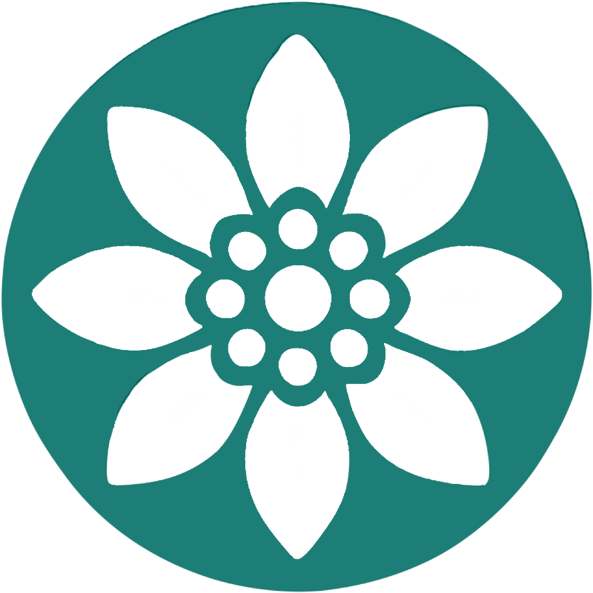 Elderwise